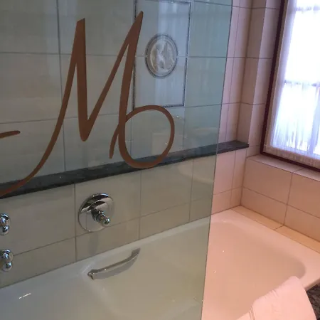 Le فندق ميتيلوير